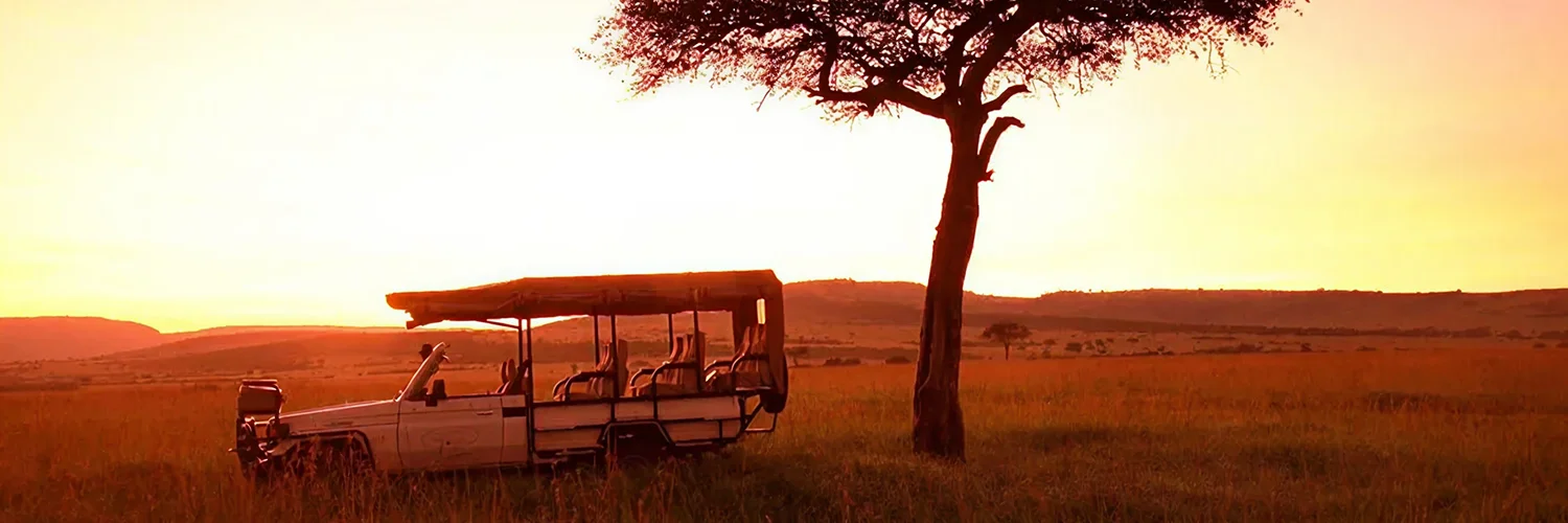 IMG_2609-1337x1047 1.webp